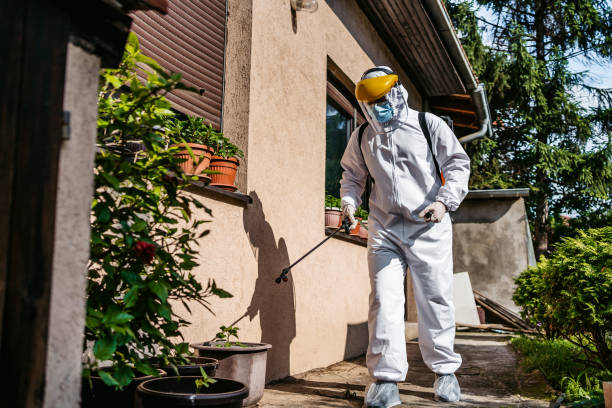 Best Cockroach Control Services  in Olivia, MN
