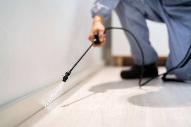 Pest Control Cost in Olivia, MN