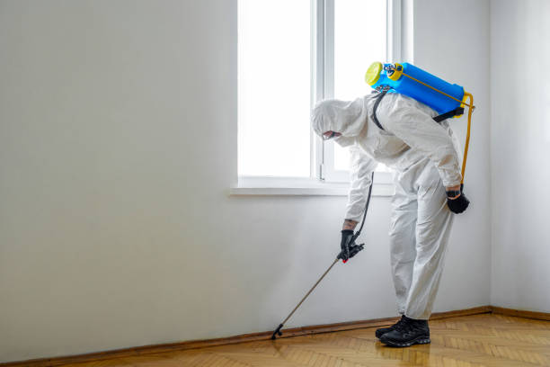 Best Insect Control  in Olivia, MN