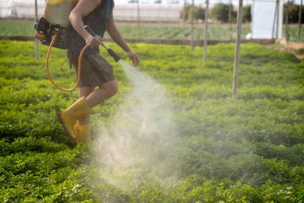 Best Pest Control for Homes  in Olivia, MN