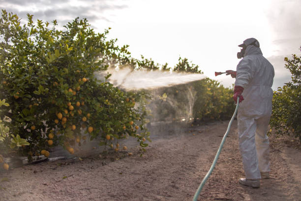 Best Exterminator Services  in Olivia, MN