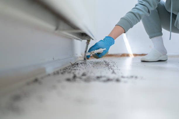 Best Pest Removal Services  in Olivia, MN