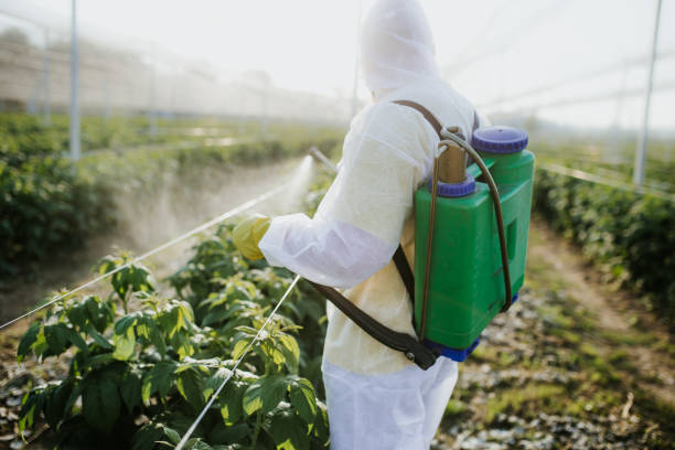 Best Affordable Pest Control Services  in Olivia, MN